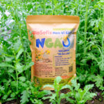 Túi men vi sinh Ngáo BioSofix được sử dụng trong vườn rau sạch giúp cải tạo đất và phòng trị tuyến trùng