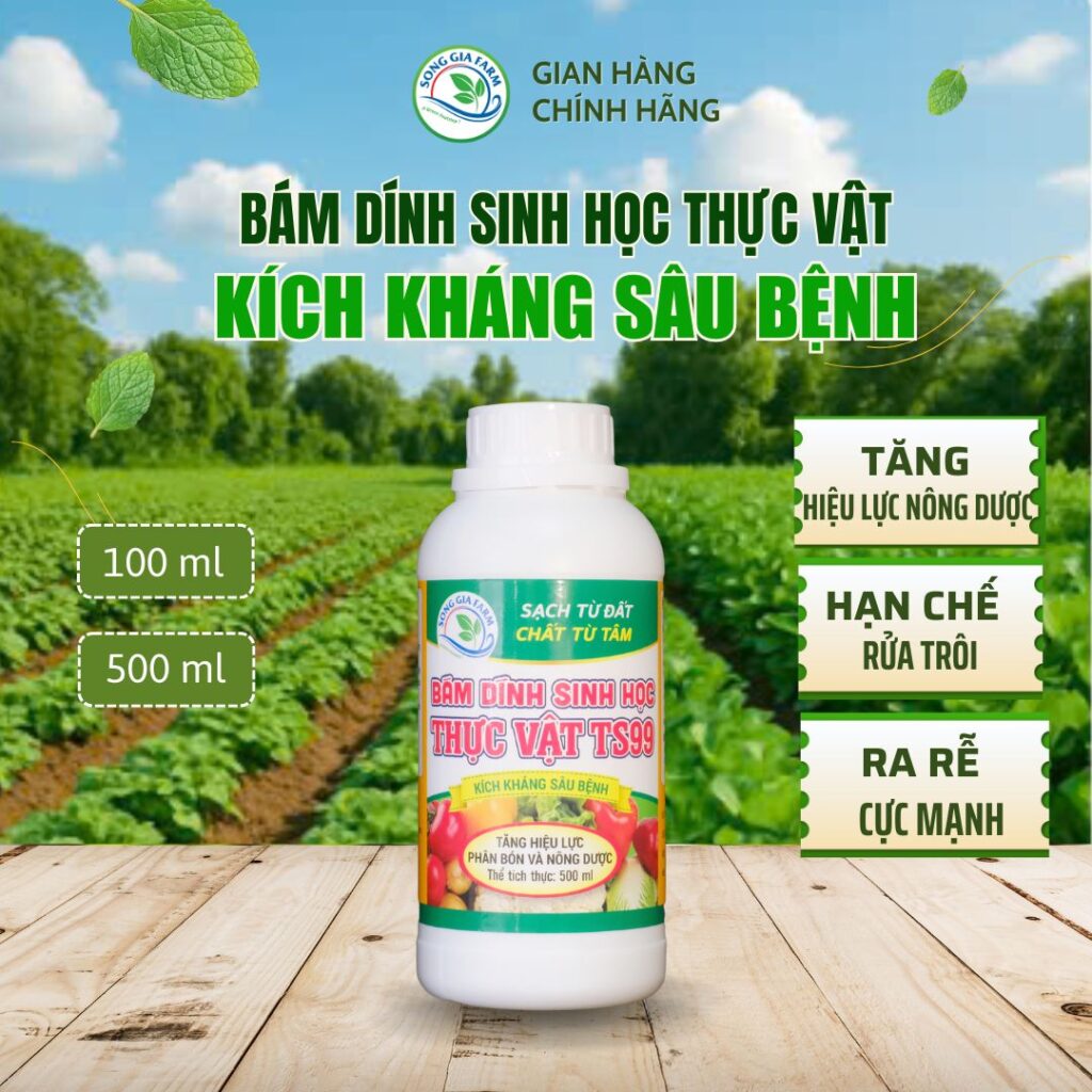 Bám dính sinh học TS99 tăng hiệu quả nông dược, kích kháng sâu bệnh – Sản phẩm hữu cơ Trang trại Sông Giá