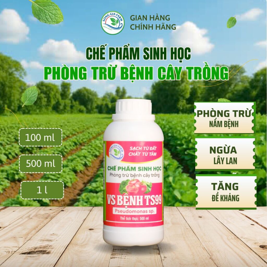 Chế phẩm sinh học VS Bệnh TS99 phòng trừ nấm bệnh cho cây trồng – Sản phẩm Sông Giá Farm
