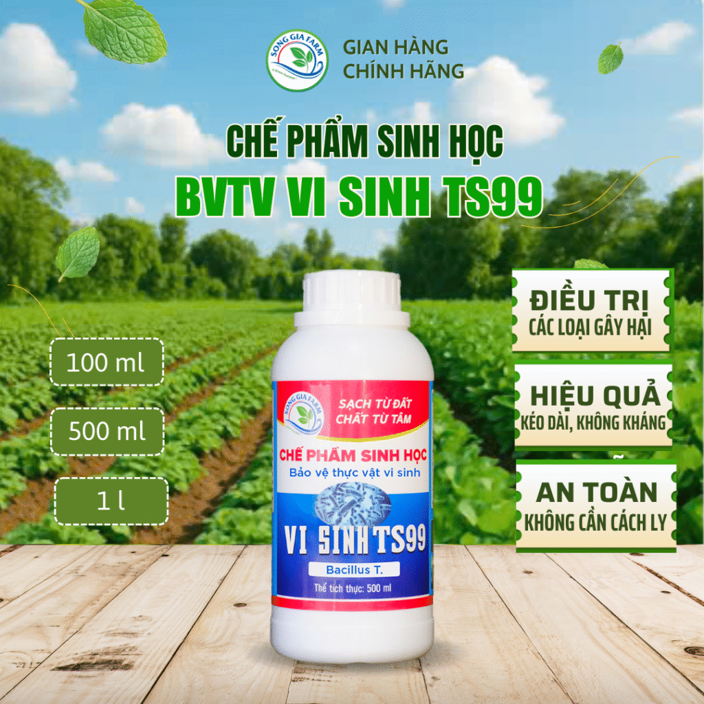 Chế phẩm vi sinh sâu TS99 – BVTV vi sinh bảo vệ cây trồng hiệu quả, an toàn