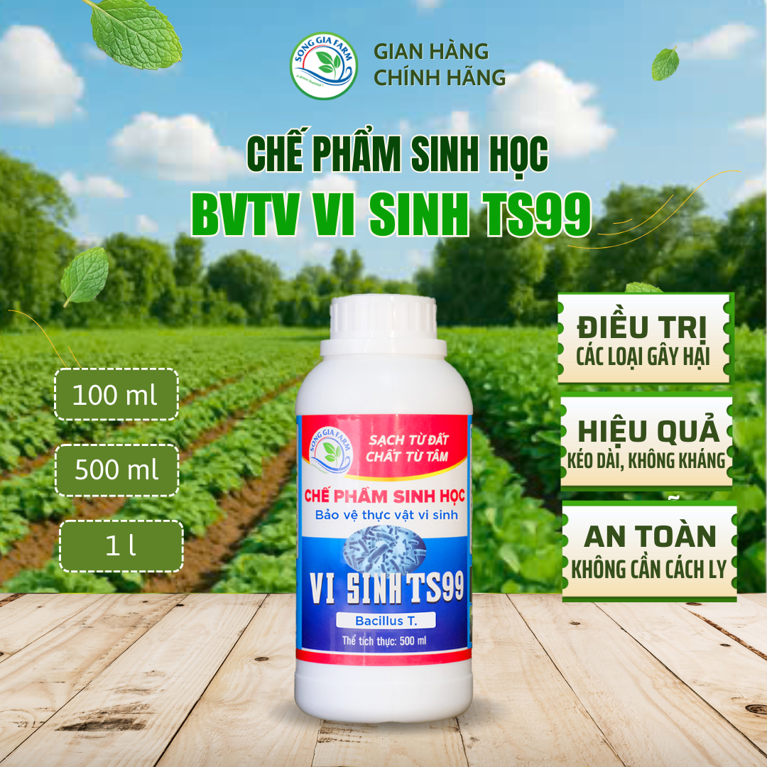 Chế phẩm vi sinh sâu TS99 – BVTV vi sinh bảo vệ cây trồng hiệu quả, an toàn
