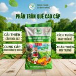 Phân trùn quế cao cấp TS99 Sông Giá – cải tạo đất, cung cấp dinh dưỡng tự nhiên, kích thích rễ, thân thiện môi trường