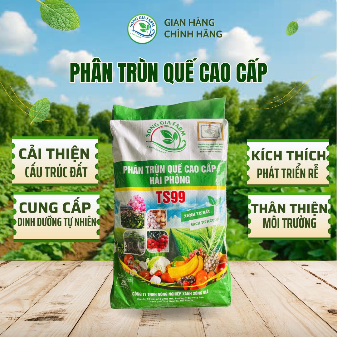 Phân trùn quế cao cấp TS99 Sông Giá – cải tạo đất, cung cấp dinh dưỡng tự nhiên, kích thích rễ, thân thiện môi trường