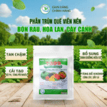 Phân trùn quế viên tan chậm TS99 của Trang trại Sông Giá – bón rau, hoa lan, cây cảnh, bổ sung dinh dưỡng hữu cơ, cải tạo đất và tăng sức đề kháng