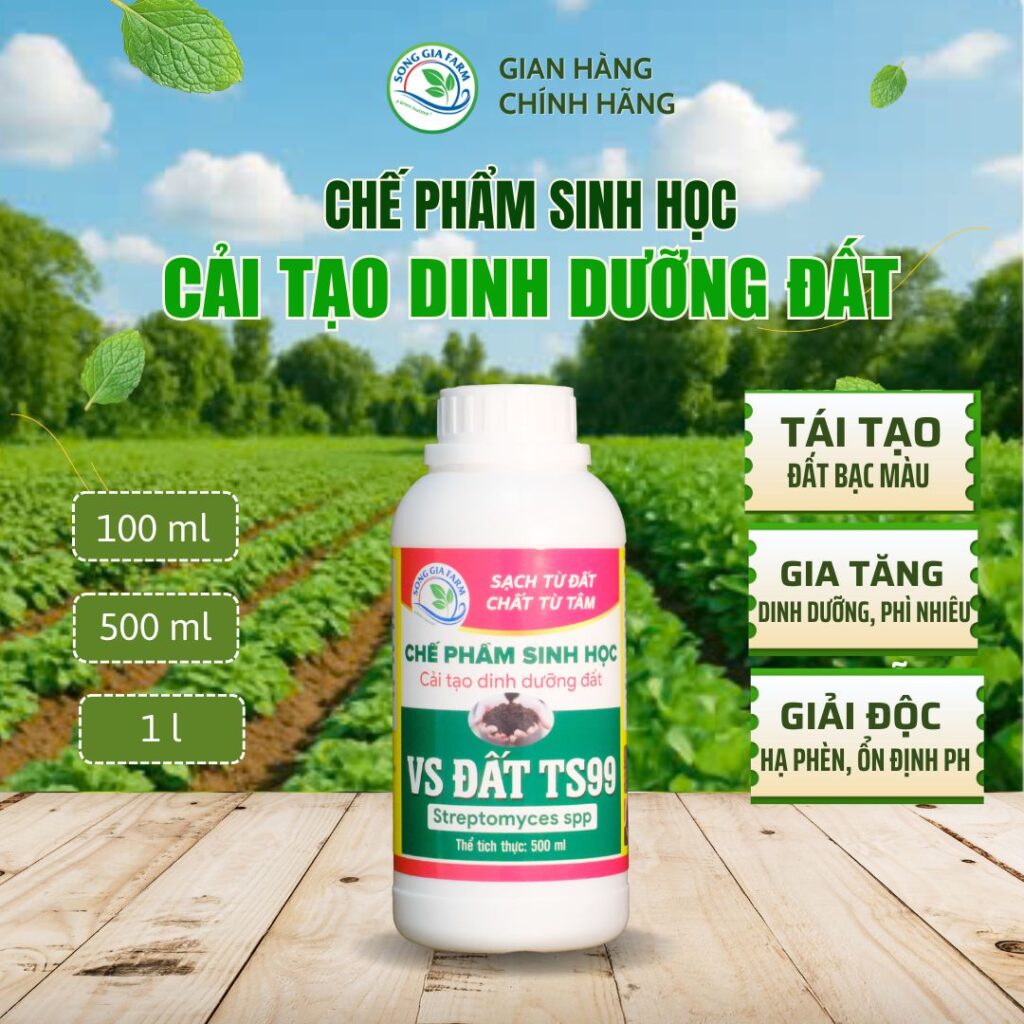Chế phẩm sinh học VS Đất TS99 – Cải tạo đất bạc màu, gia tăng dinh dưỡng, ổn định pH đất